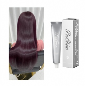 Factory Price No Fading No Bleaching Professional Semi-Permanent Hair Dye Private Label Cream Hair Color for Salons